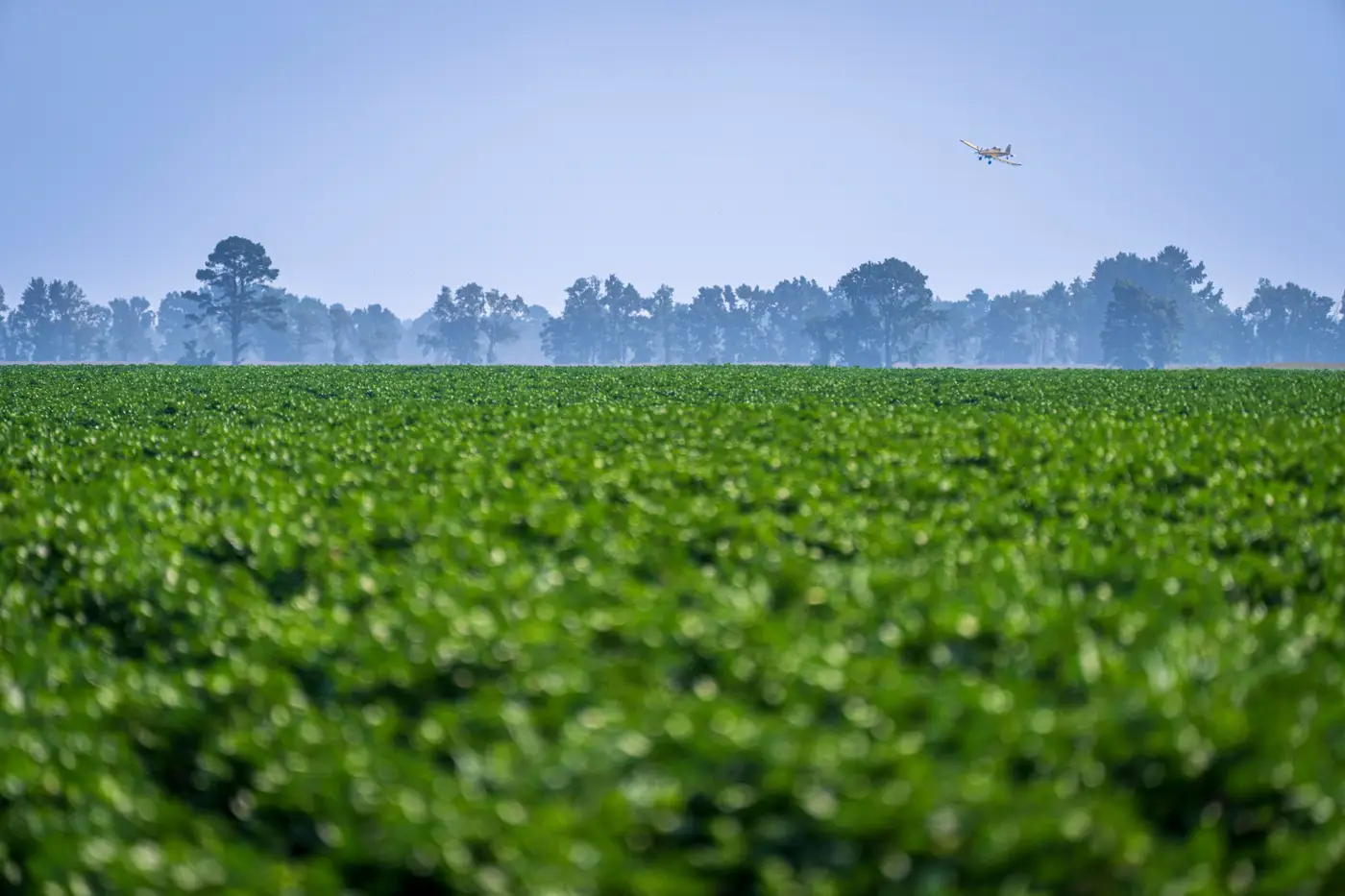 A small aircraft flies low over a green field with a tree line in the distance.